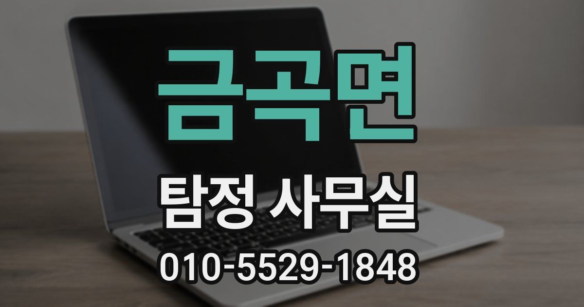 금곡면 탐정 사무실
