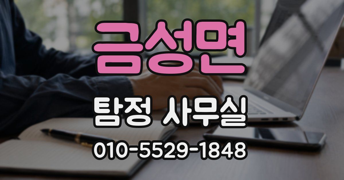 금성면 탐정 사무실