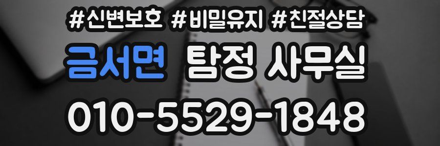 금서면 탐정 사무실