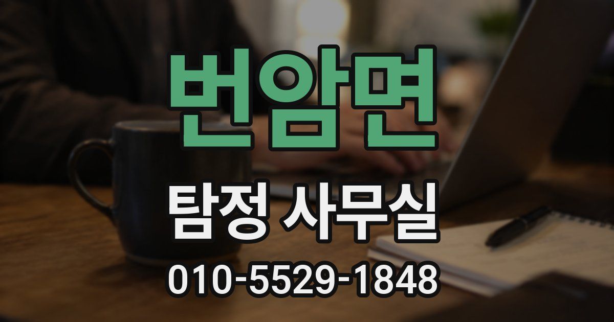 번암면 탐정 사무실