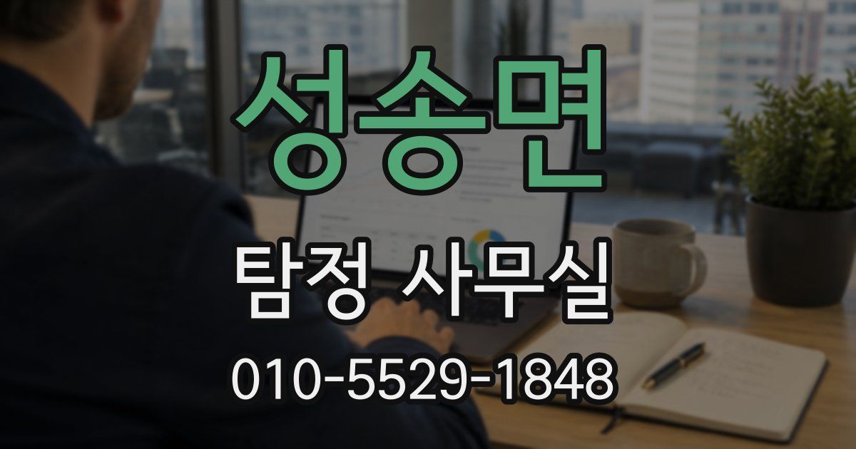 성송면 탐정 사무실