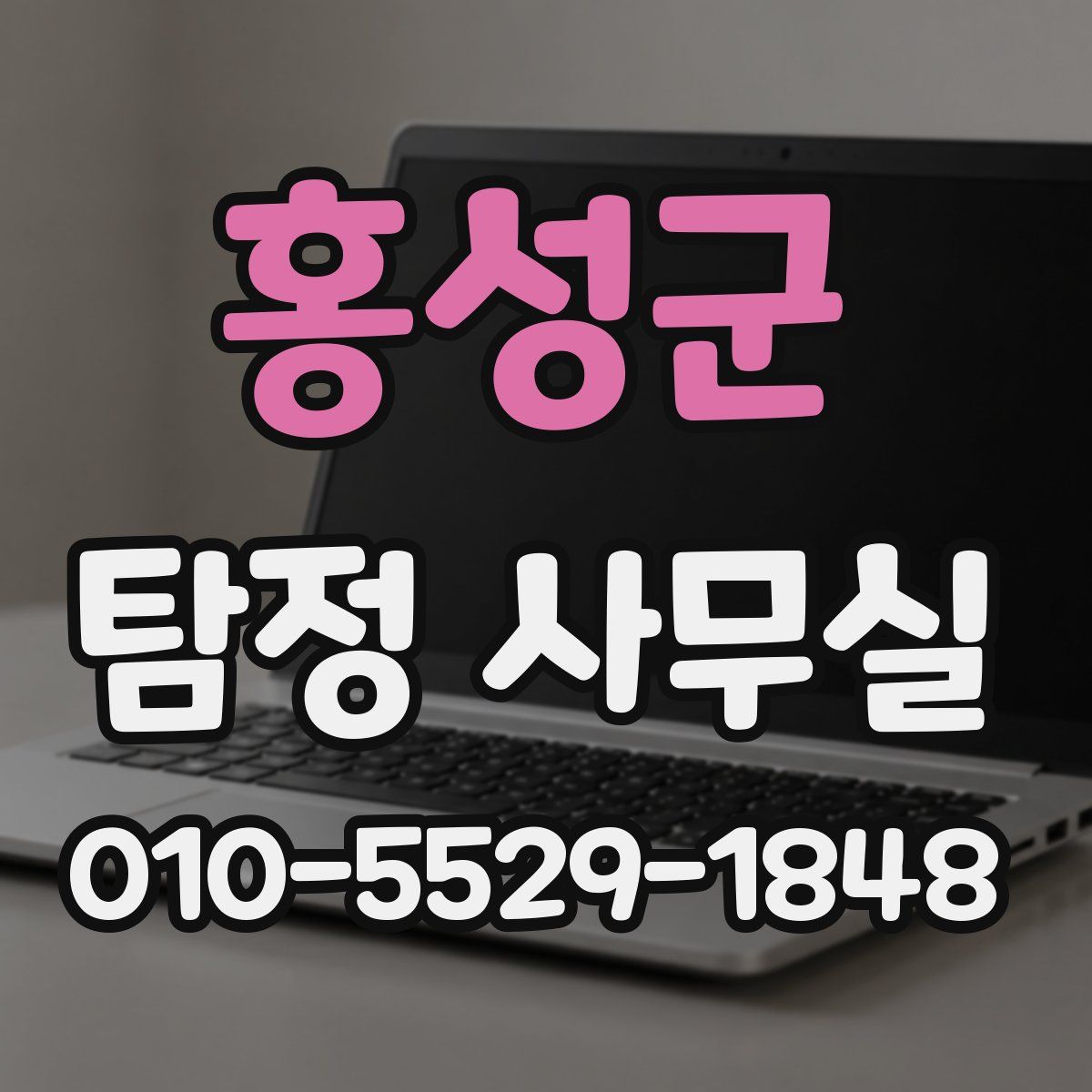 홍성군 탐정 사무실