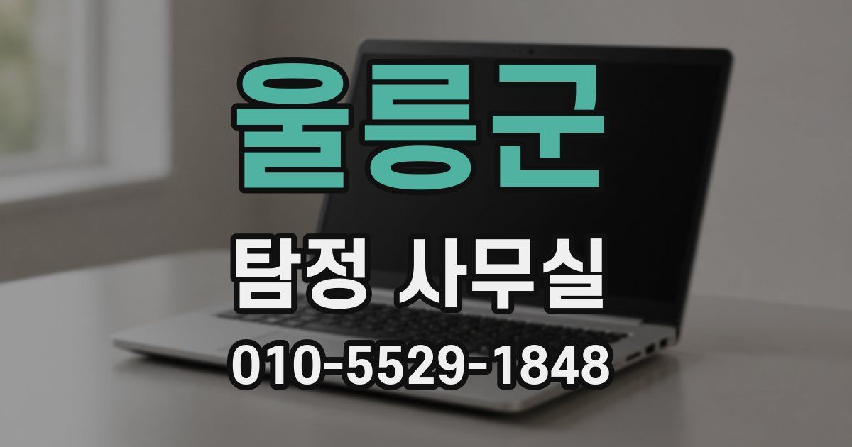 울릉군 탐정 사무실