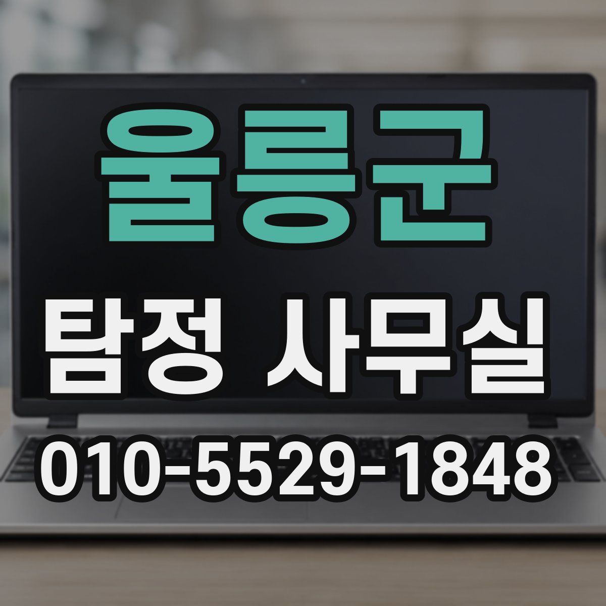 울릉군 탐정 사무실