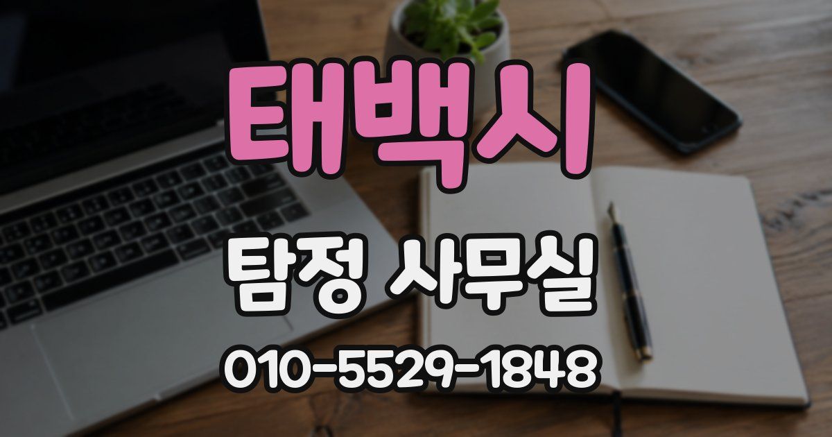 태백시 탐정 사무실