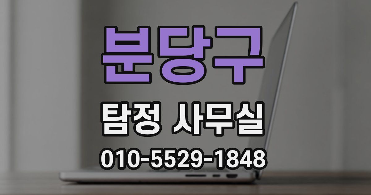 분당구 탐정 사무실