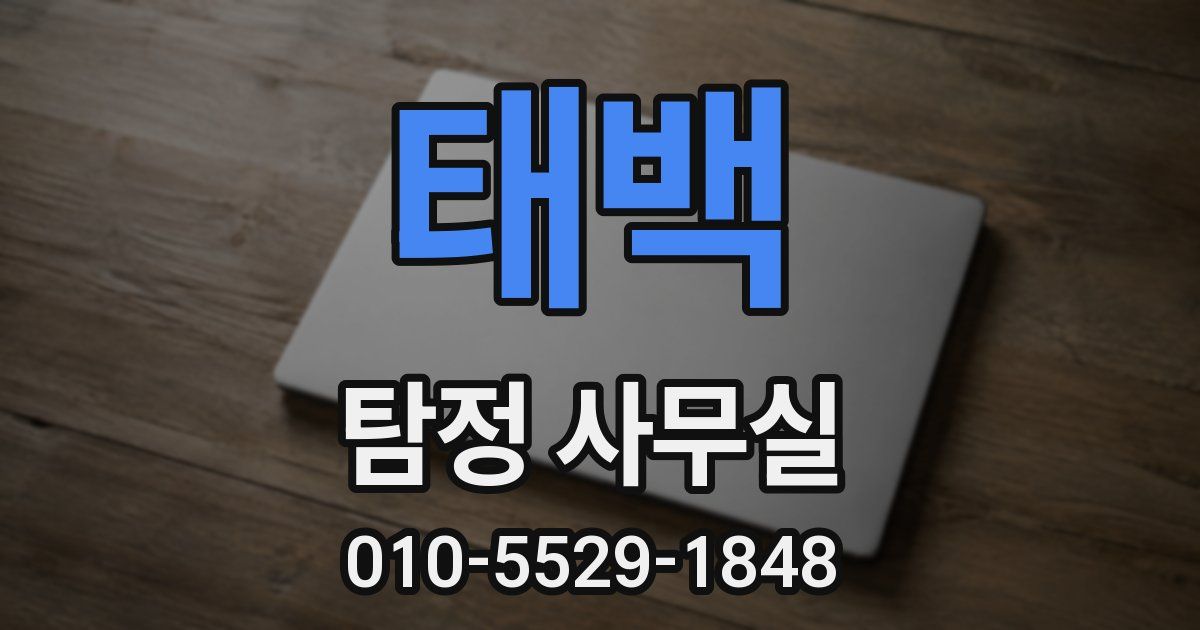 태백 탐정 사무실