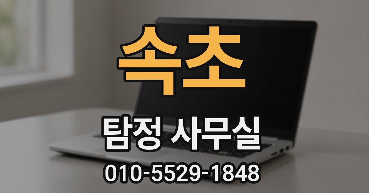 속초 탐정 사무실