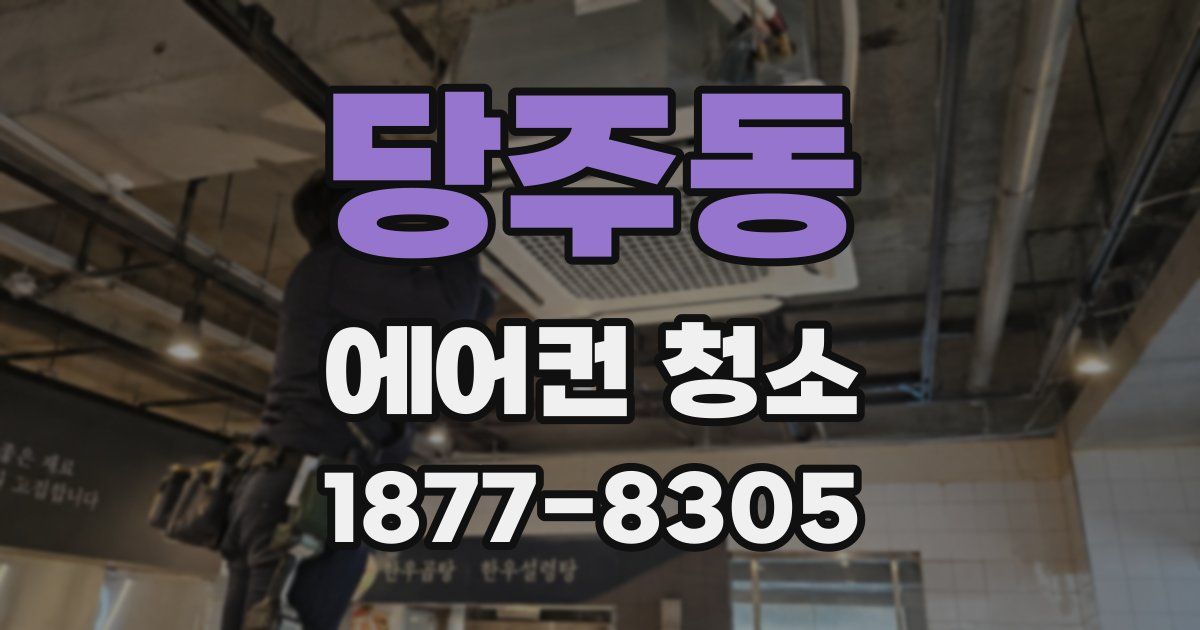 당주동 에어컨 청소