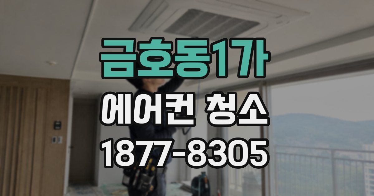 금호동1가 에어컨 청소
