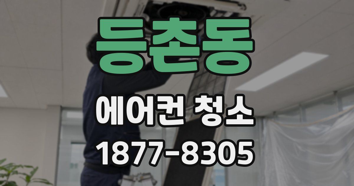 등촌동 에어컨 청소