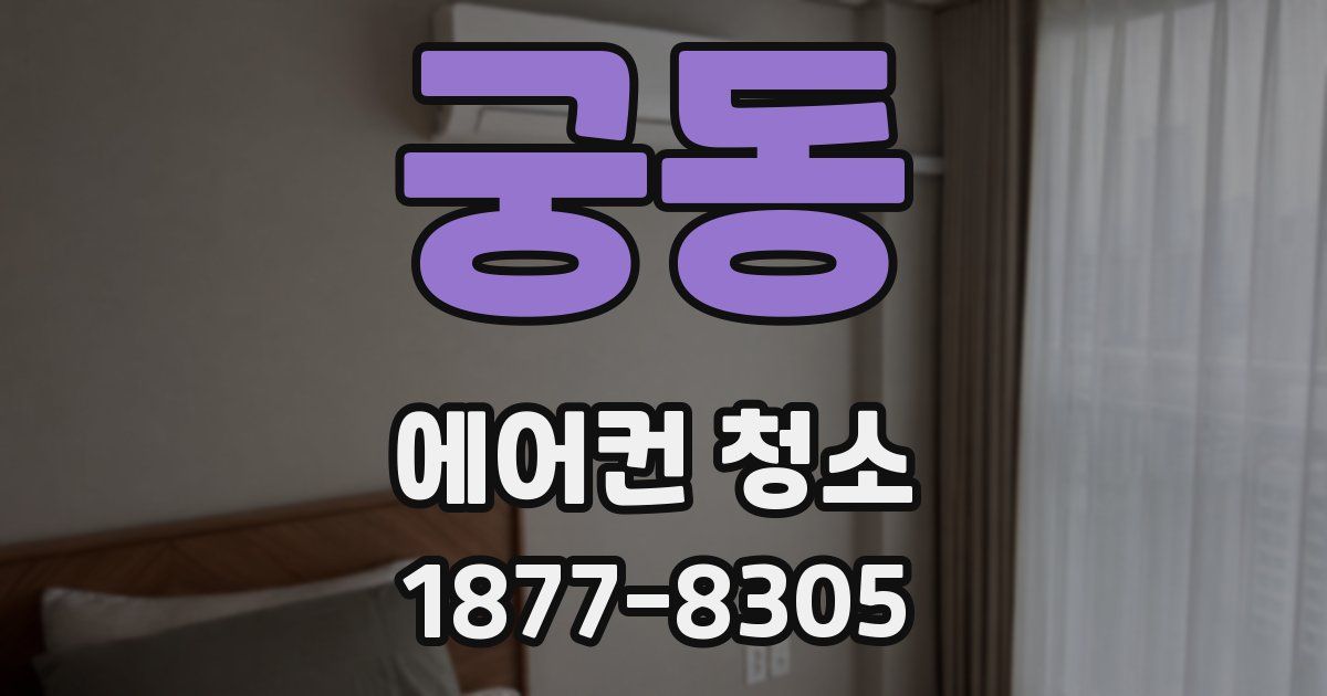 궁동 에어컨 청소
