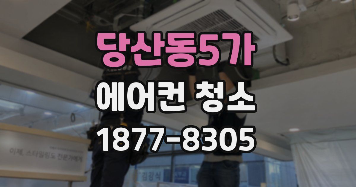 당산동5가 에어컨 청소