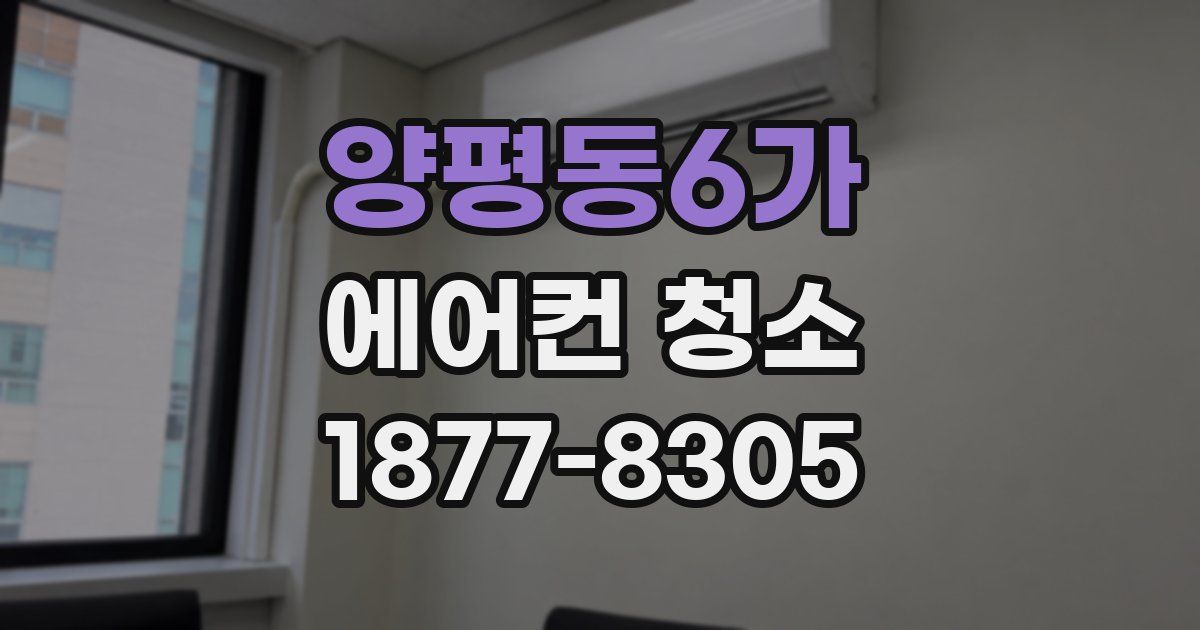 양평동6가 에어컨 청소