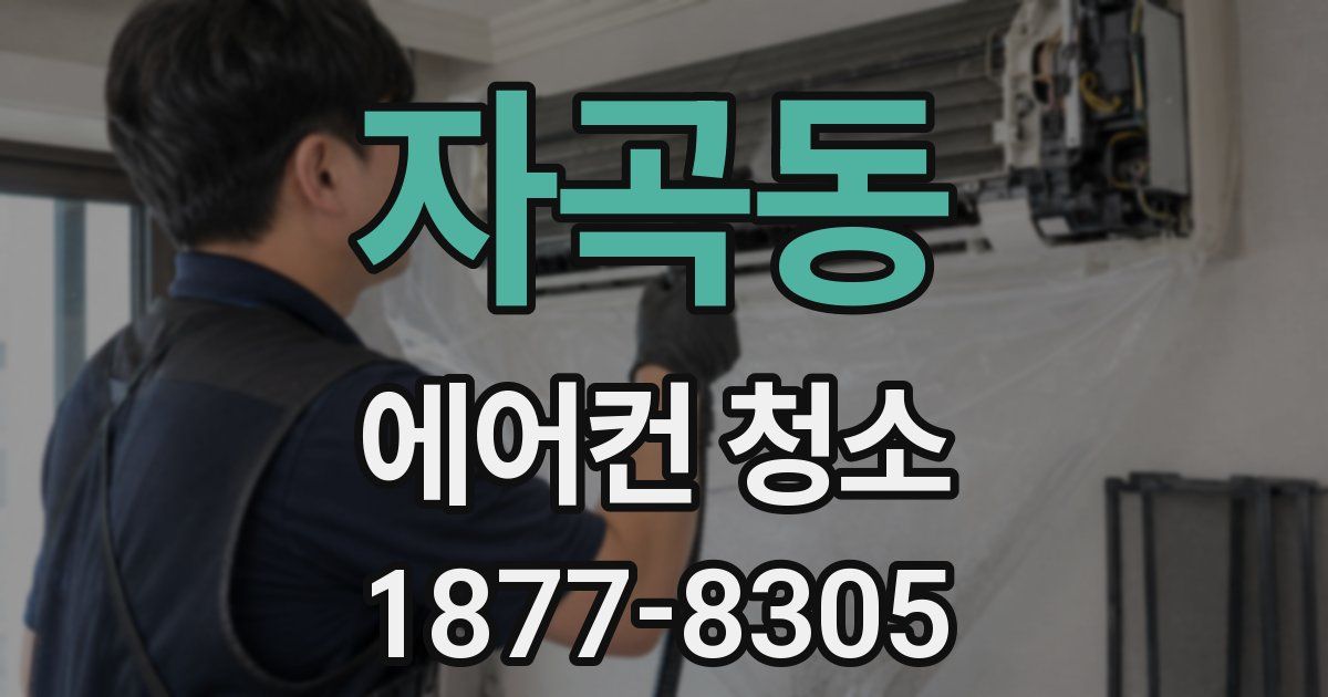 자곡동 에어컨 청소