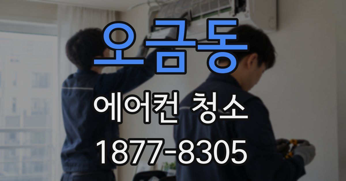 오금동 에어컨 청소