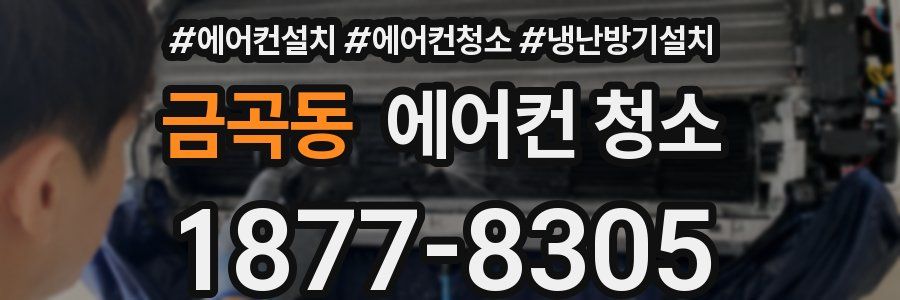 금곡동 에어컨 청소