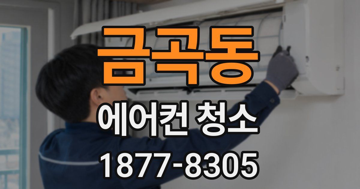 금곡동 에어컨 청소
