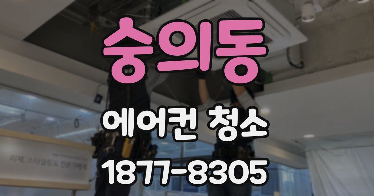 숭의동 에어컨 청소