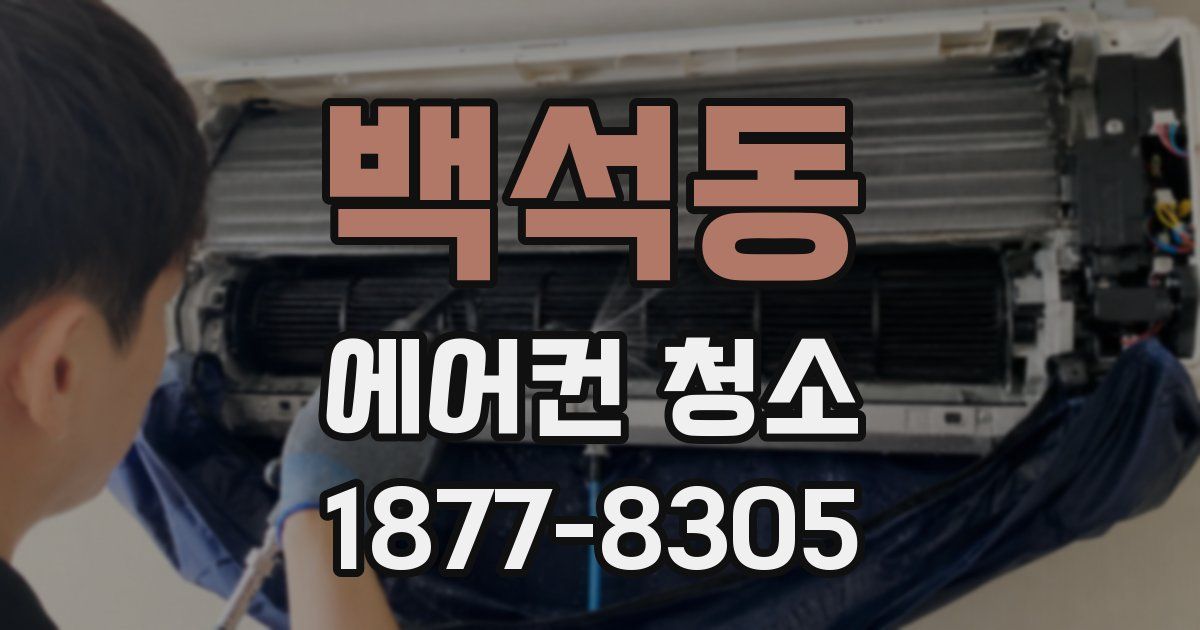백석동 에어컨 청소