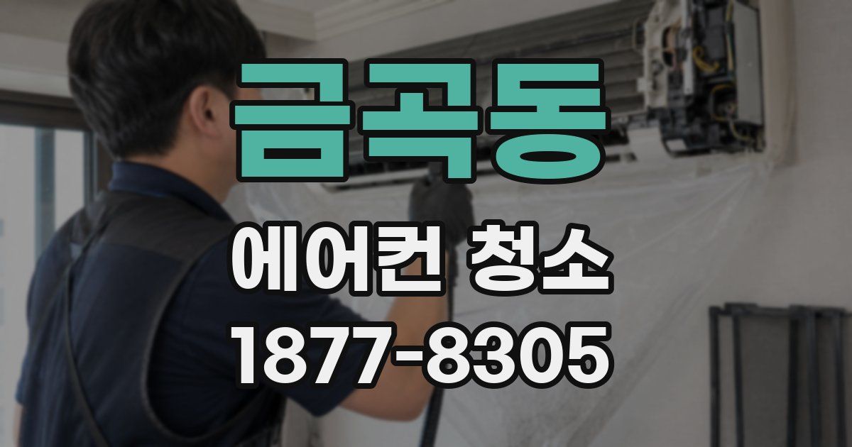 금곡동 에어컨 청소
