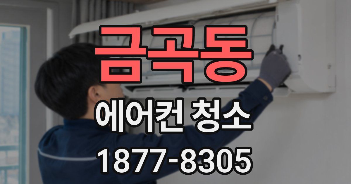 금곡동 에어컨 청소