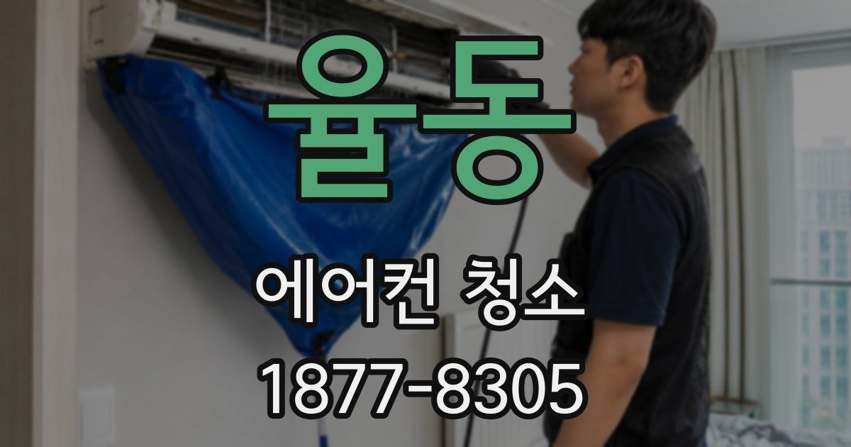 율동 에어컨 청소