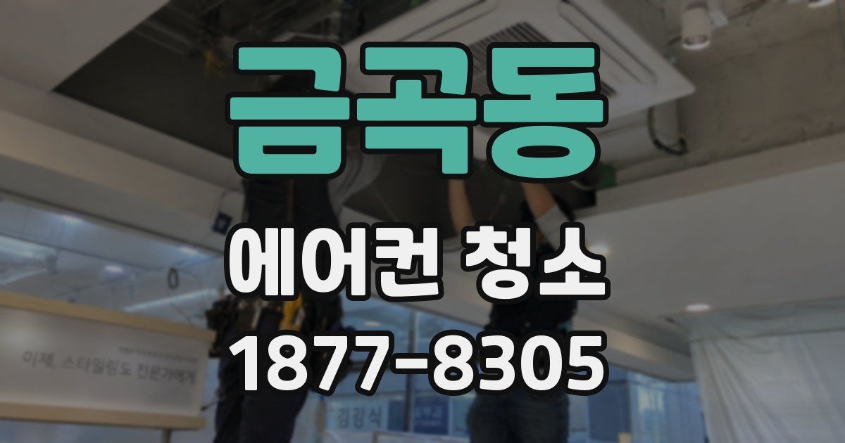 금곡동 에어컨 청소
