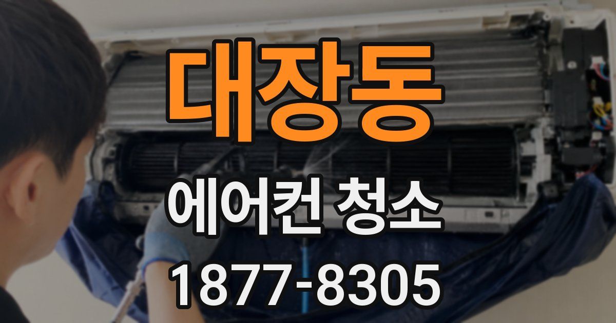 대장동 에어컨 청소