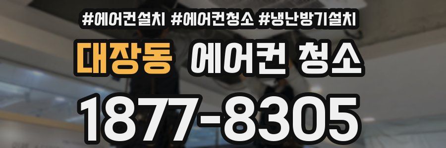 대장동 에어컨 청소
