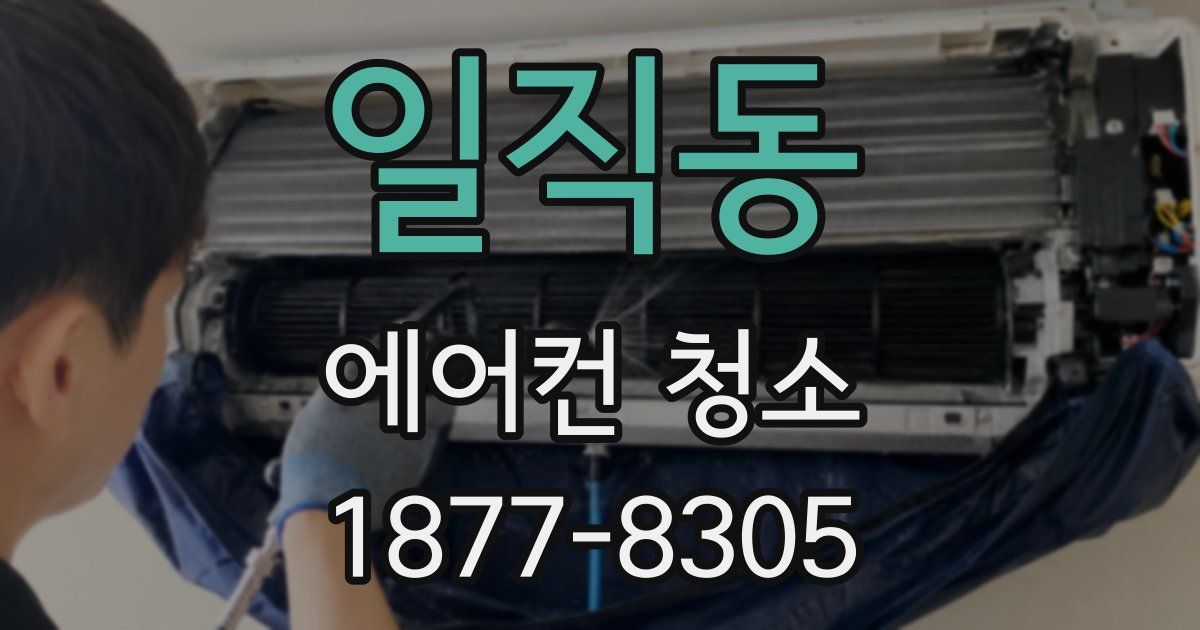 일직동 에어컨 청소