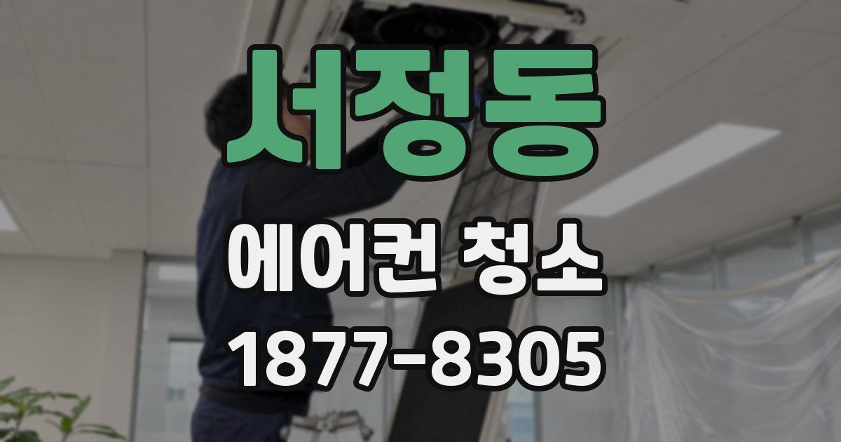 서정동 에어컨 청소