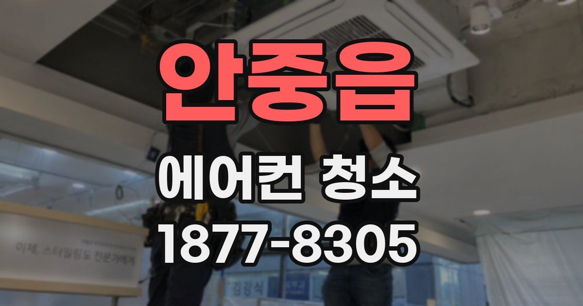 안중읍 에어컨 청소