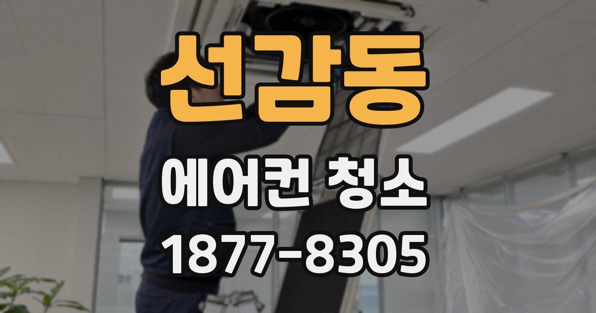 선감동 에어컨 청소