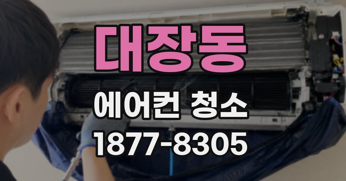 대장동 에어컨 청소
