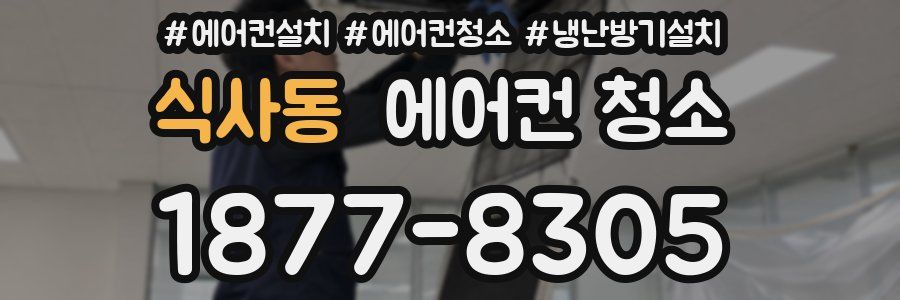 식사동 에어컨 청소