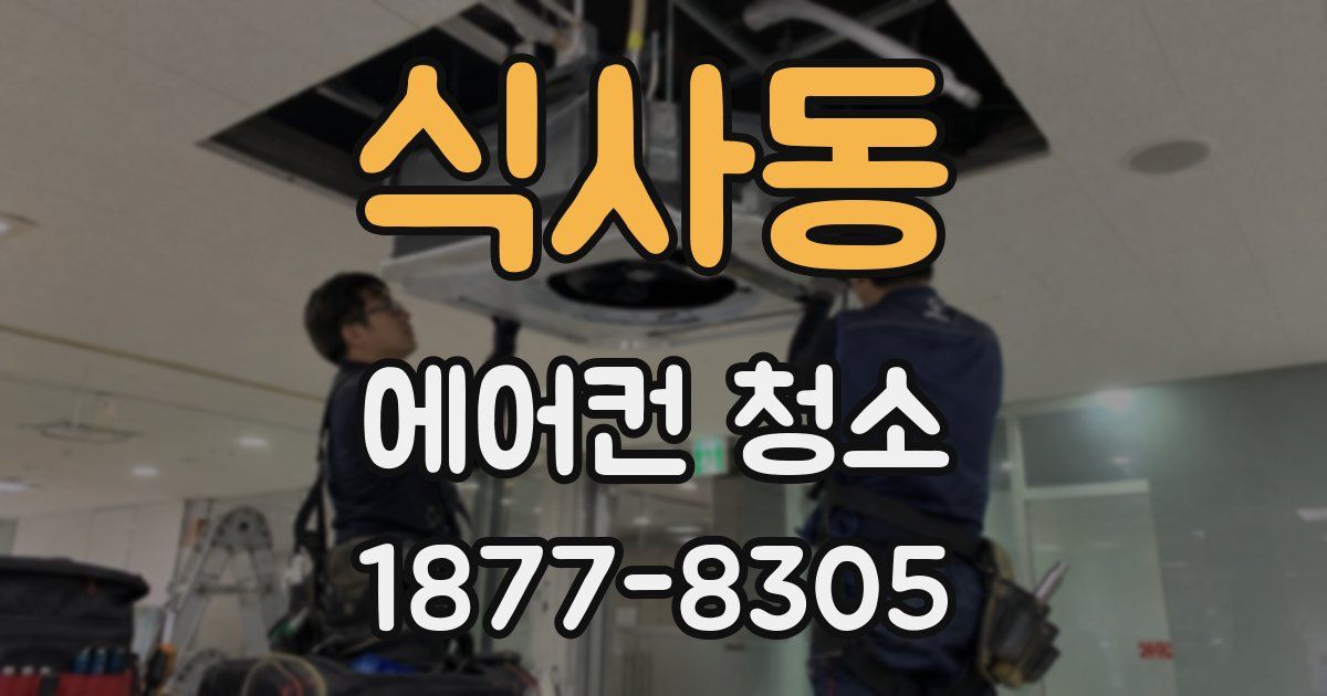 식사동 에어컨 청소