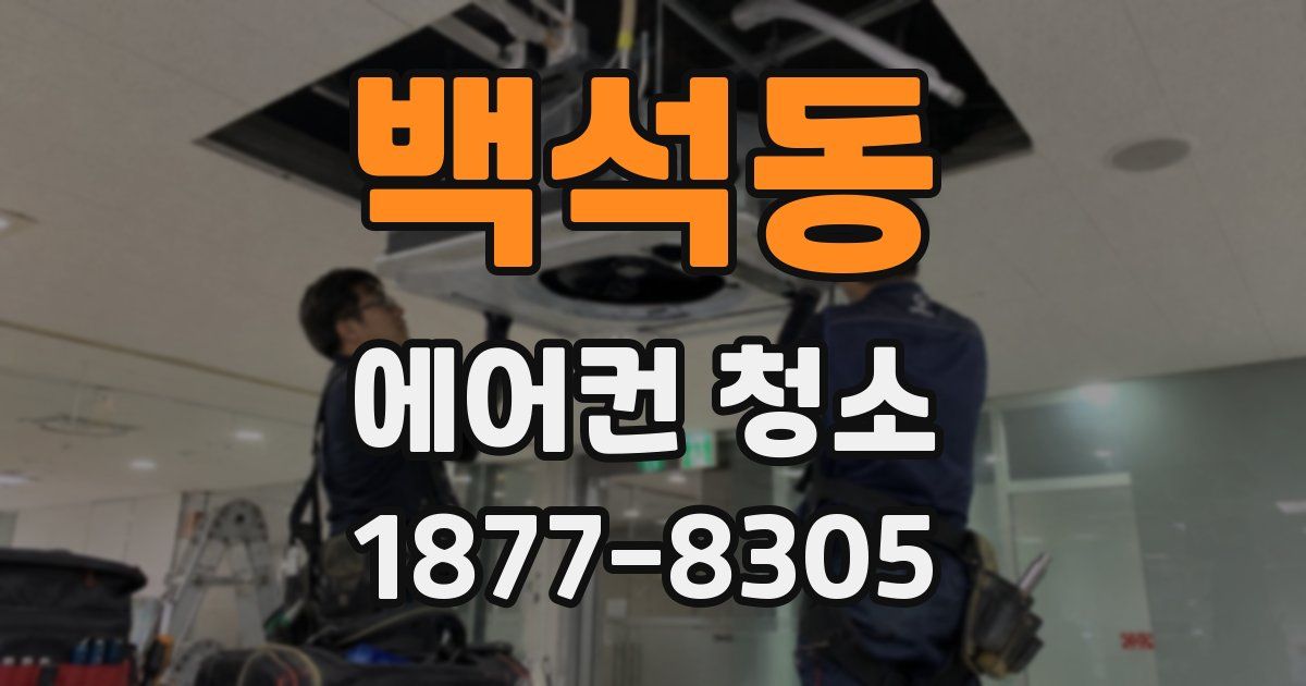 백석동 에어컨 청소