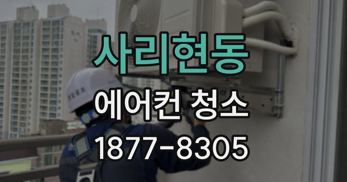 사리현동 에어컨 청소
