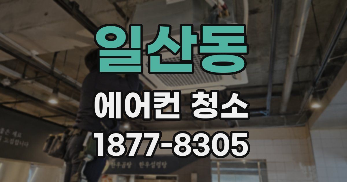 일산동 에어컨 청소