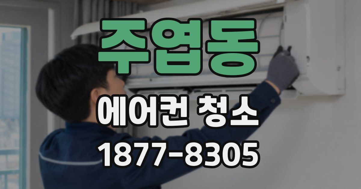 주엽동 에어컨 청소