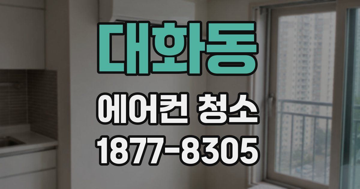 대화동 에어컨 청소