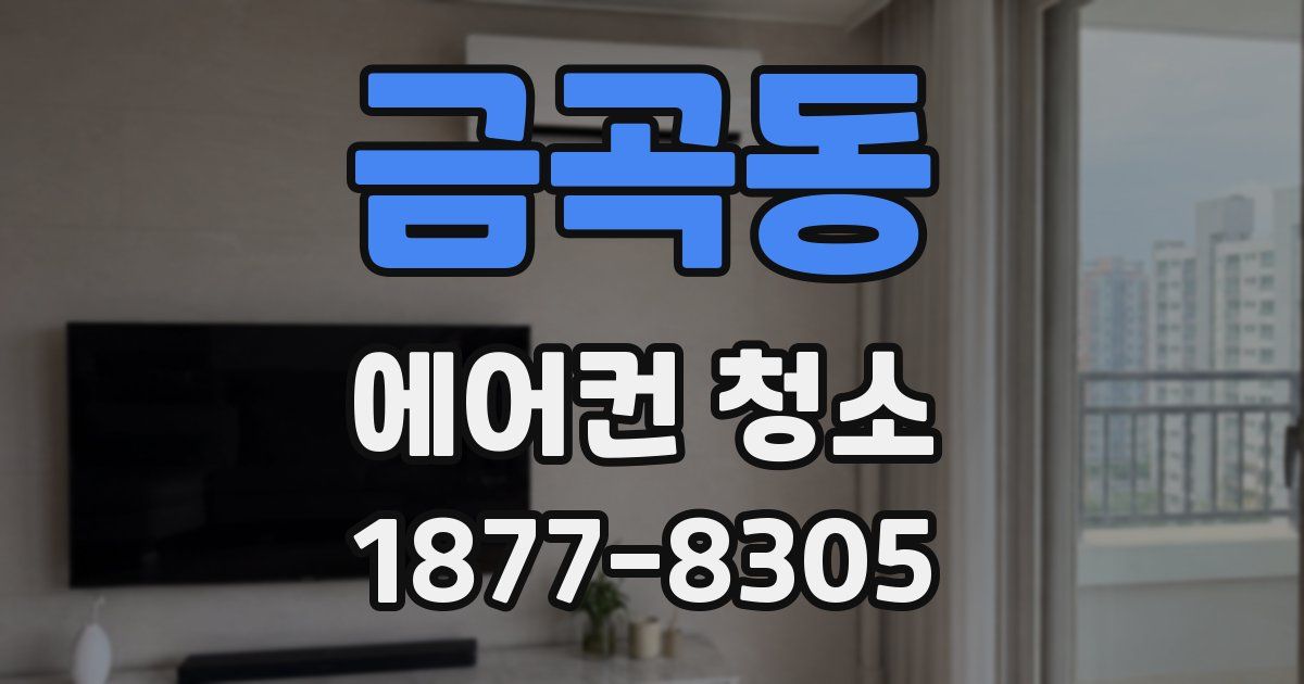 금곡동 에어컨 청소