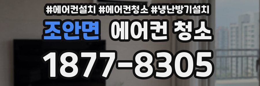 조안면 에어컨 청소
