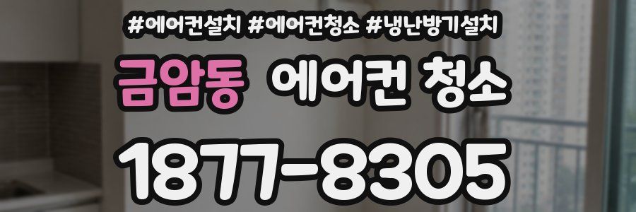 금암동 에어컨 청소