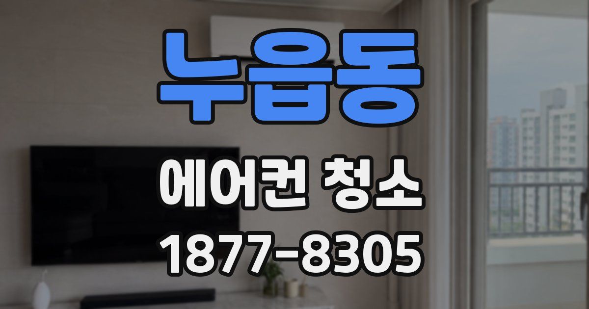 누읍동 에어컨 청소
