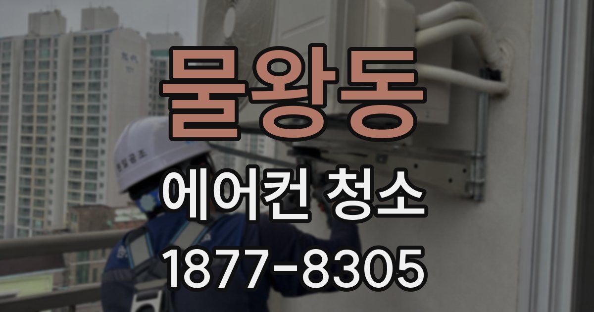 물왕동 에어컨 청소