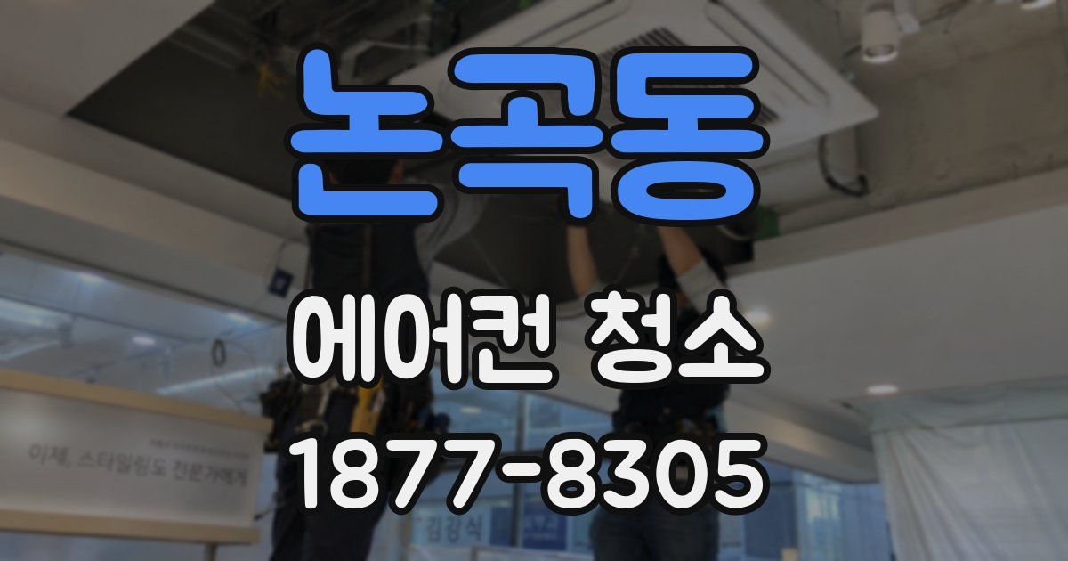 논곡동 에어컨 청소