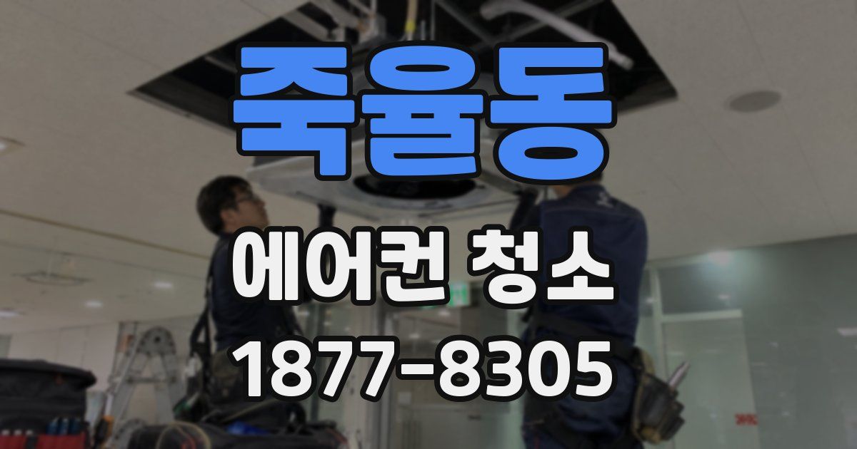 죽율동 에어컨 청소