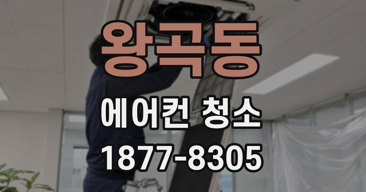 왕곡동 에어컨 청소